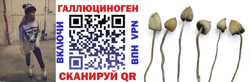 Псилоцибиновые грибы ЛСД Скопин